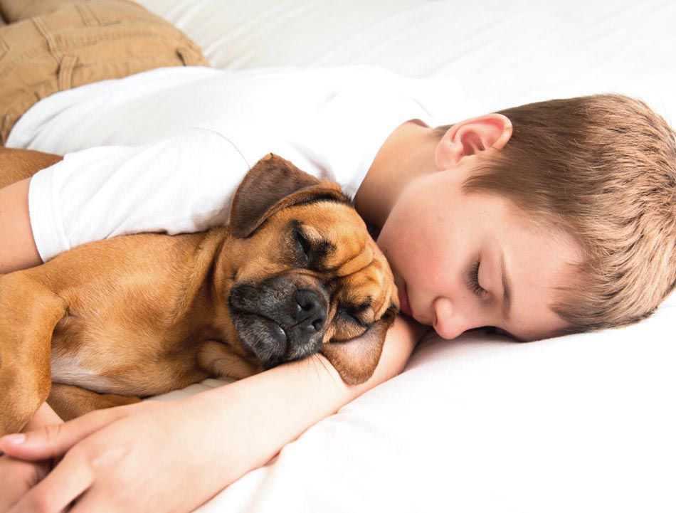 DORMIR COM O PET ATRAPALHA A QUALIDADE DO SONO?